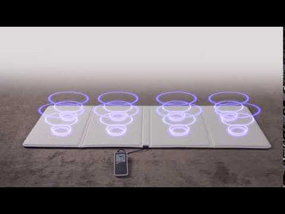 PEMF Beyond Power Package -PEMF Beyond Mat and PEMF Beyond PowerBand